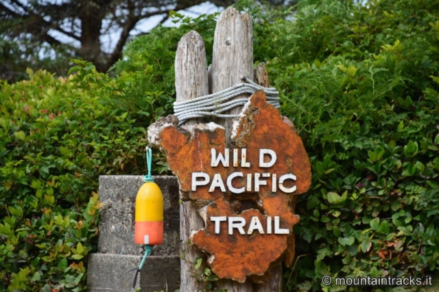 Ucluelet, wild pacific trail - Vancouver Island - Canada