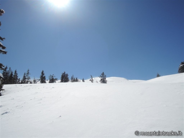 snow, sun, powder at sestaione