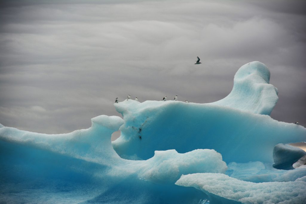 Laguna glaciale Jökulsárlón, ghiacciaio Vatnajökull