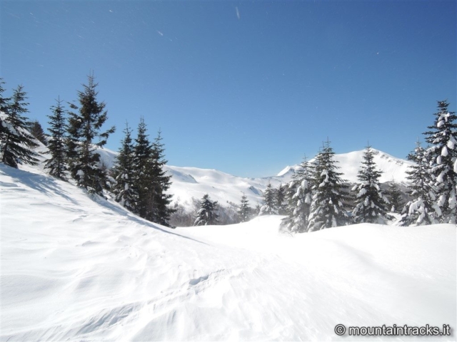 snow, sun, powder at sestaione